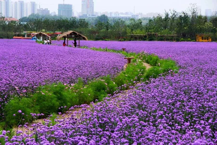 長沙?華誼兄弟電影小鎮、李自健美術館一日游 長沙?華誼兄弟電影小鎮、李自健美術館一日游