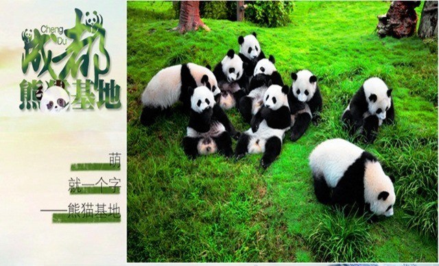 長沙、成都雙飛6天 長沙、成都雙飛6天