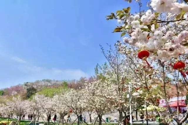 長沙潯龍河櫻花谷、田漢文化園一日游