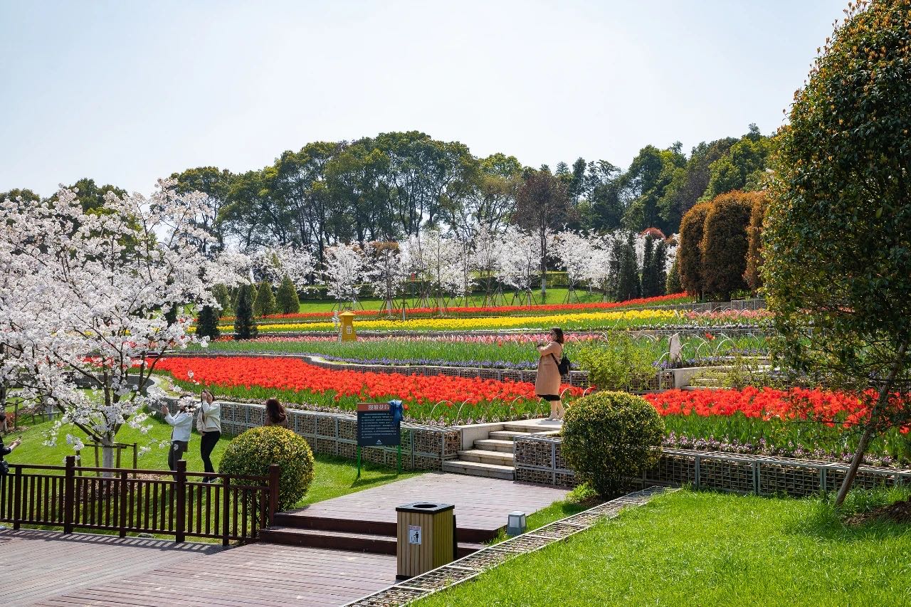 岳陽花語世界、汴河街一日游 岳陽花語世界、汴河街一日游